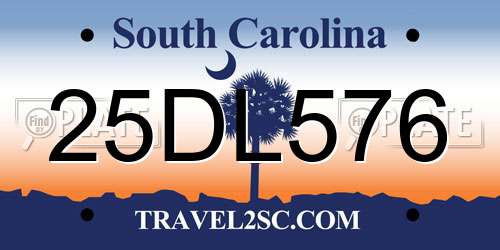 25DL576 South Carolina License Plate