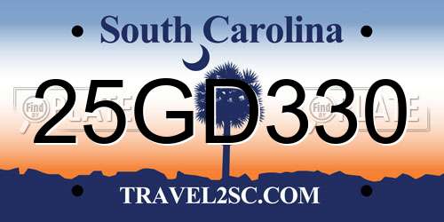 25GD330 South Carolina License Plate