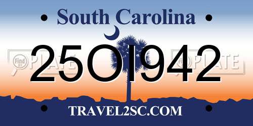 25OI942 South Carolina License Plate