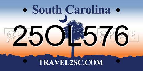 25OL576 South Carolina License Plate