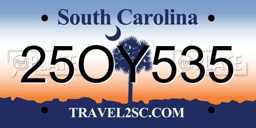 25OY535 South Carolina License Plate
