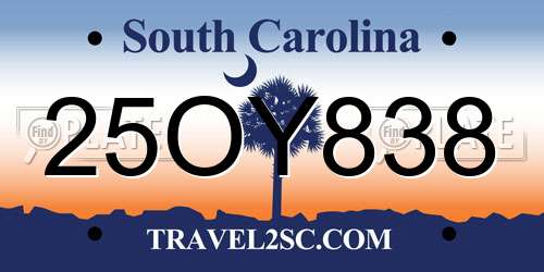 25OY838 South Carolina License Plate
