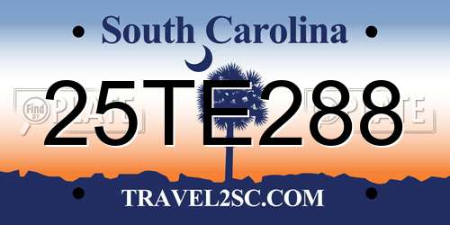 25TE288 South Carolina License Plate