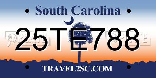 25TE788 South Carolina License Plate