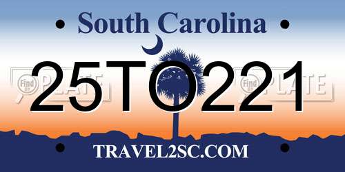 25TO221 South Carolina License Plate