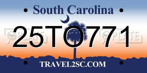 25TO771 South Carolina License Plate