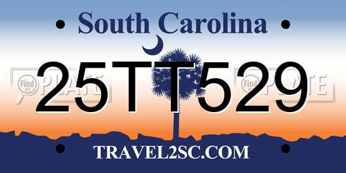 25TT529 South Carolina License Plate