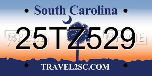 25TZ529 South Carolina License Plate
