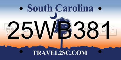 25WB381 South Carolina License Plate