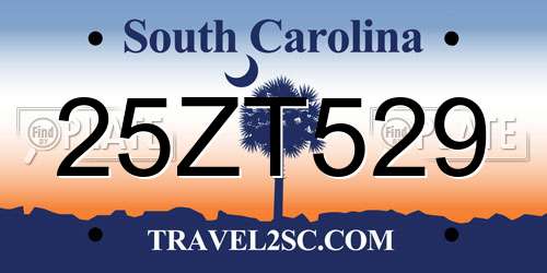 25ZT529 South Carolina License Plate