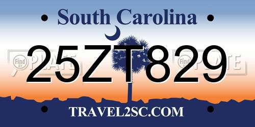 25ZT829 South Carolina License Plate