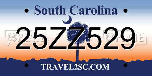 25ZZ529 South Carolina License Plate