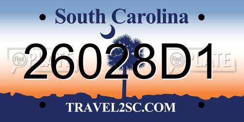 26028D1 South Carolina License Plate