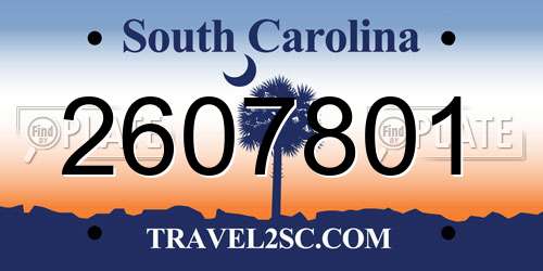 2607801 South Carolina License Plate