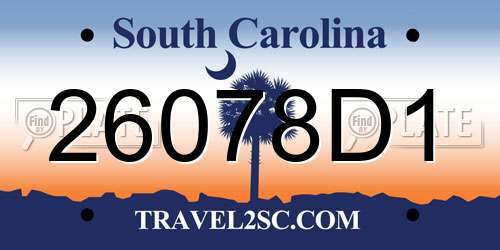 26078D1 South Carolina License Plate