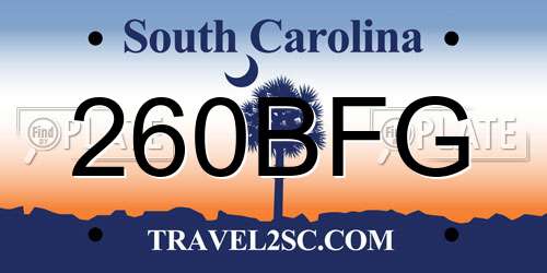 260BFG South Carolina License Plate
