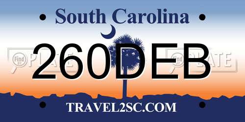 260DEB South Carolina License Plate