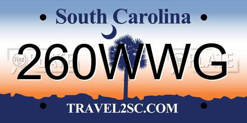 260WWG South Carolina License Plate