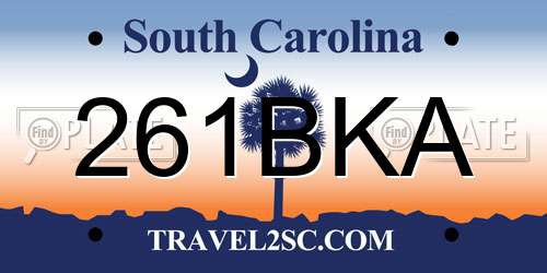 261BKA South Carolina License Plate