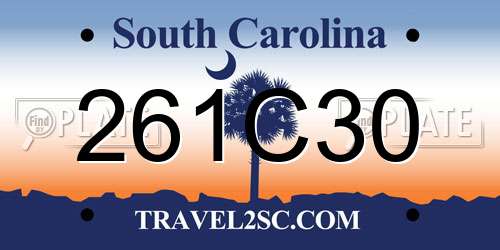 261C30 South Carolina License Plate