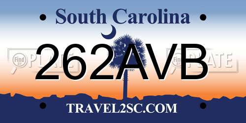 262AVB South Carolina License Plate