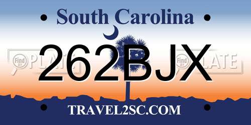 262BJX South Carolina License Plate