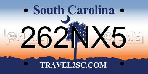 262NX5 South Carolina License Plate