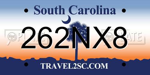 262NX8 South Carolina License Plate