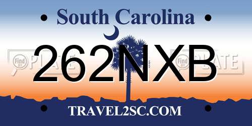 262NXB South Carolina License Plate