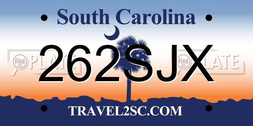 262SJX South Carolina License Plate