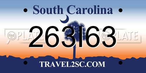263I63 South Carolina License Plate