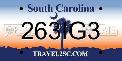 263IG3 South Carolina License Plate