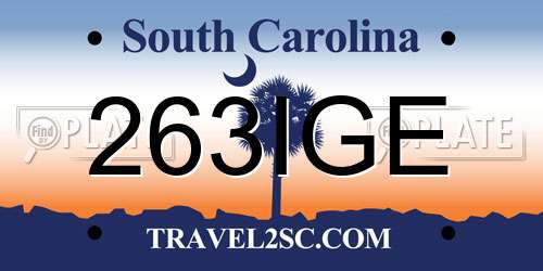263IGE South Carolina License Plate