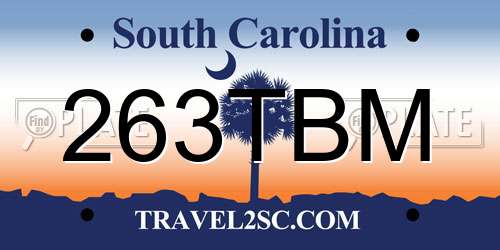 263TBM South Carolina License Plate