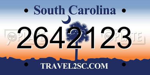 2642123 South Carolina License Plate