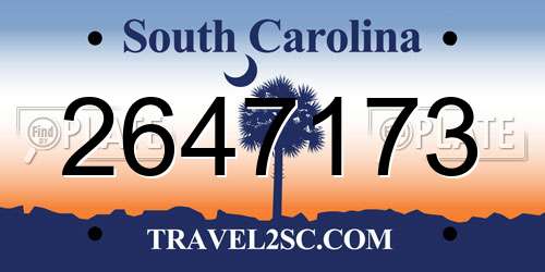 2647173 South Carolina License Plate