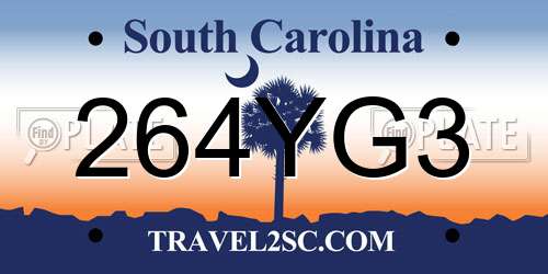 264YG3 South Carolina License Plate