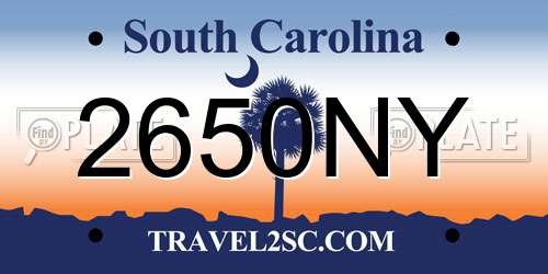 2650NY South Carolina License Plate