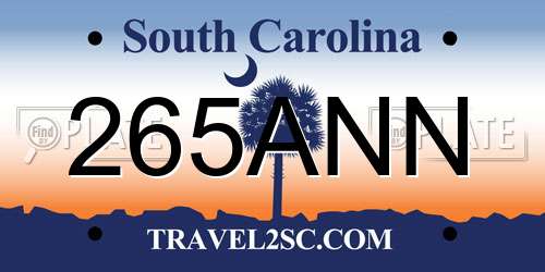265ANN South Carolina License Plate