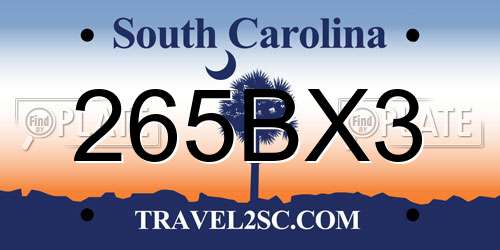 265BX3 South Carolina License Plate