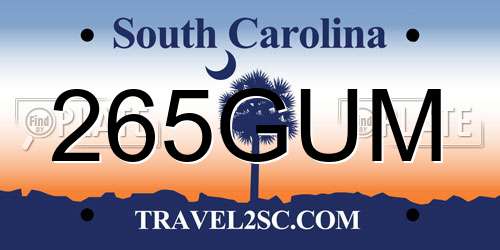 265GUM South Carolina License Plate