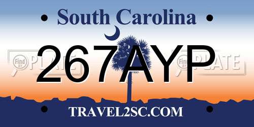 267AYP South Carolina License Plate