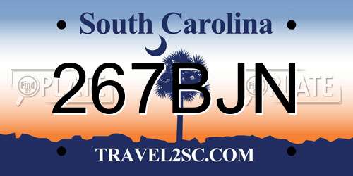 267BJN South Carolina License Plate