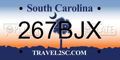 267BJX South Carolina License Plate
