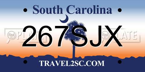 267SJX South Carolina License Plate