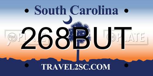 268BUT South Carolina License Plate