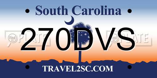 270DVS South Carolina License Plate