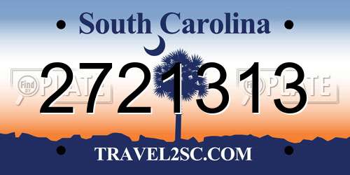 2721313 South Carolina License Plate