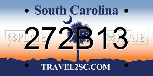 272B13 South Carolina License Plate