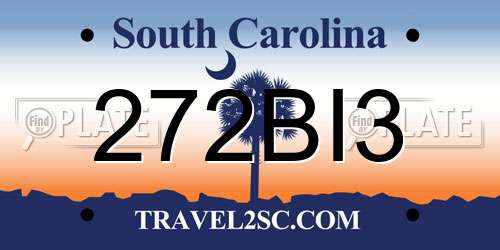 272BI3 South Carolina License Plate